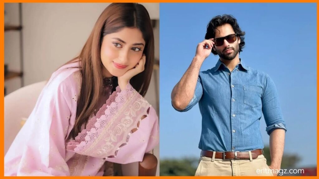 Sajal Aly & Ameer Gilani Upcoming Drama