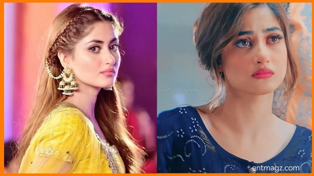 Sajal Aly & Ameer Gilani Upcoming Drama