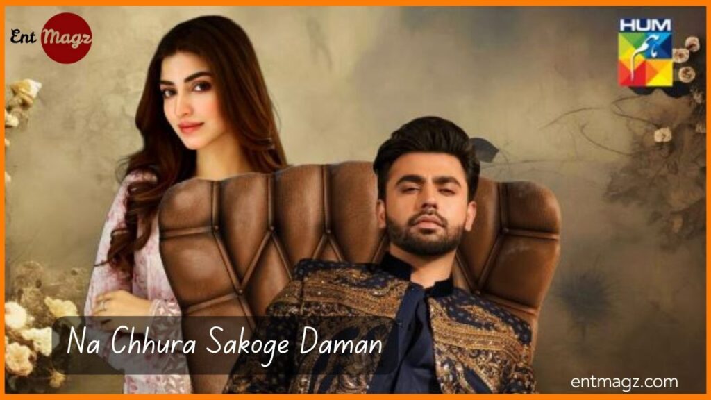 List of Pakistani Dramas 2025 Latest Ongoing Shows