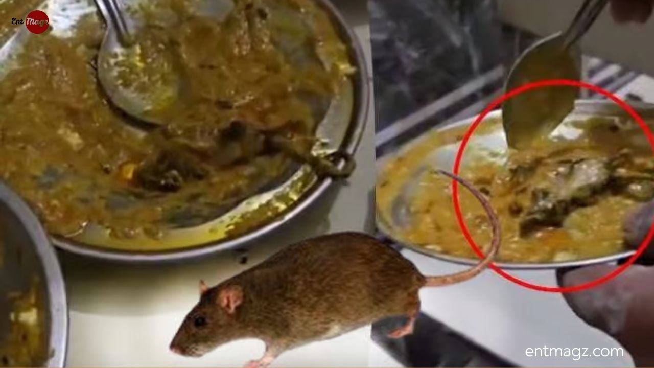 Dead Rat in Curry at Roadside Dhaba Shocks Diners – Viral Video Sparks Outrage