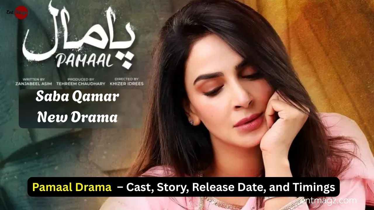 Pamaal Drama 2025 – Cast, Story, Release Date & Timing