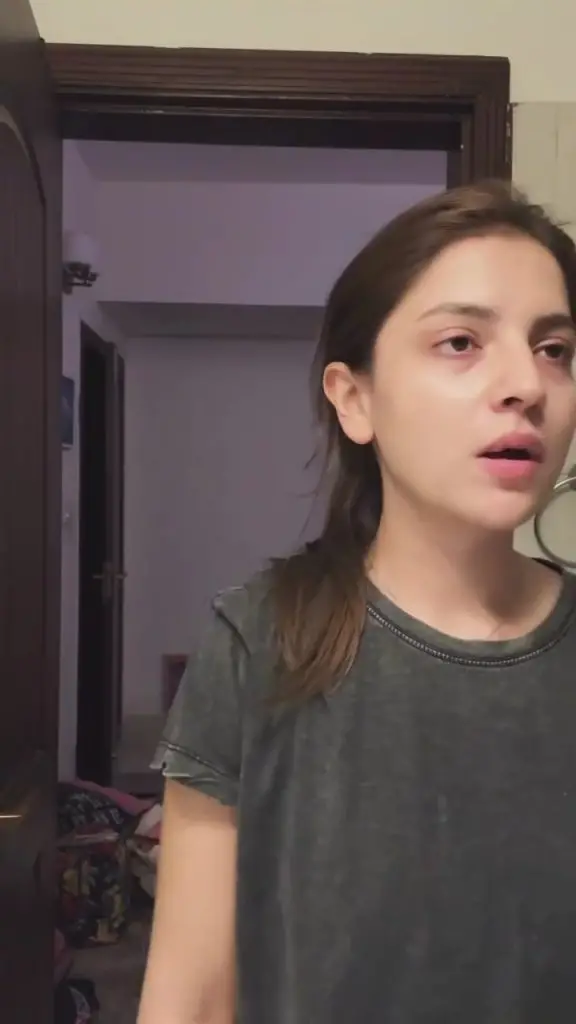 dananeer video